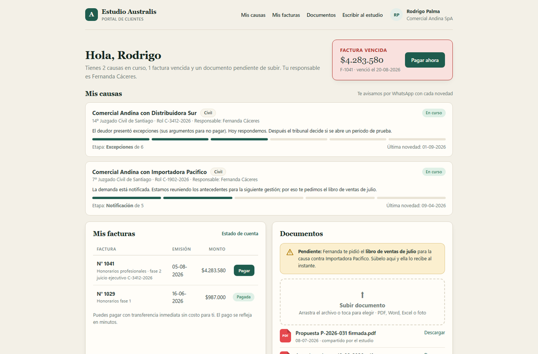 Portal del cliente: causas explicadas en simple, facturas y pago en línea